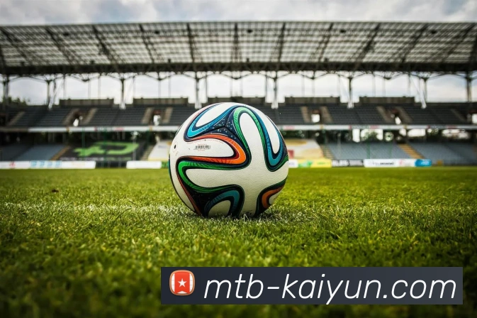 开云网站APP 封面图